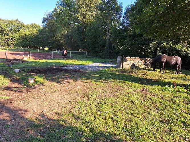 Gîte 2 pieds 4 pattes