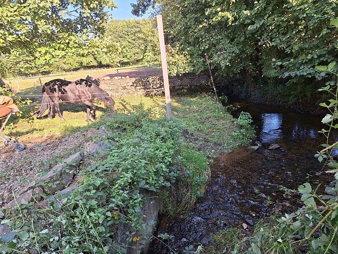 Gîte 2 pieds 4 pattes