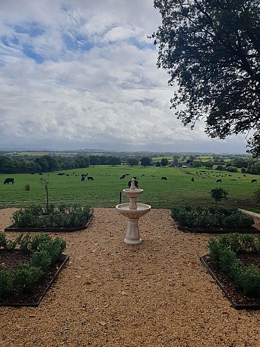 Le P'Tiny d'Aliénor