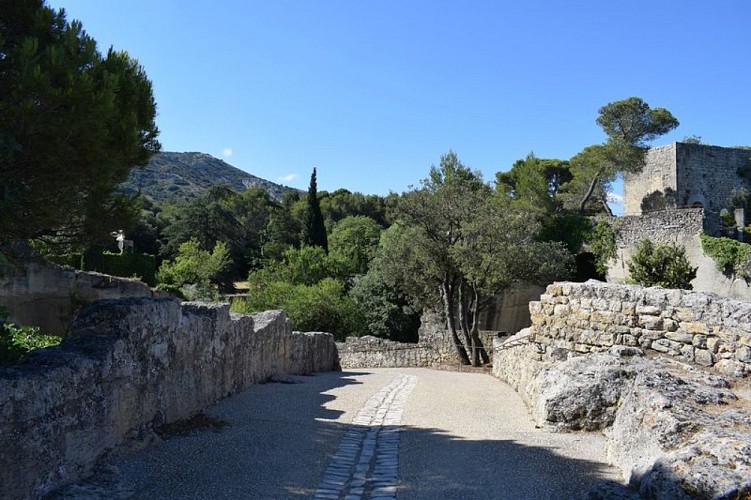 Château des Taillades