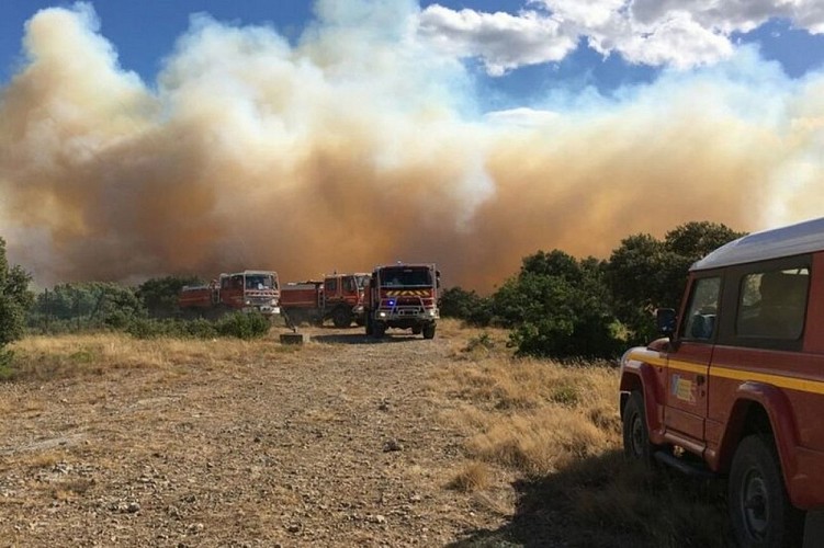 Pompiers en opération lors d'un incendie, 2023