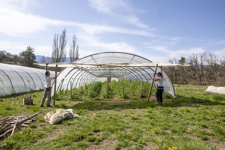 La production maraîchère