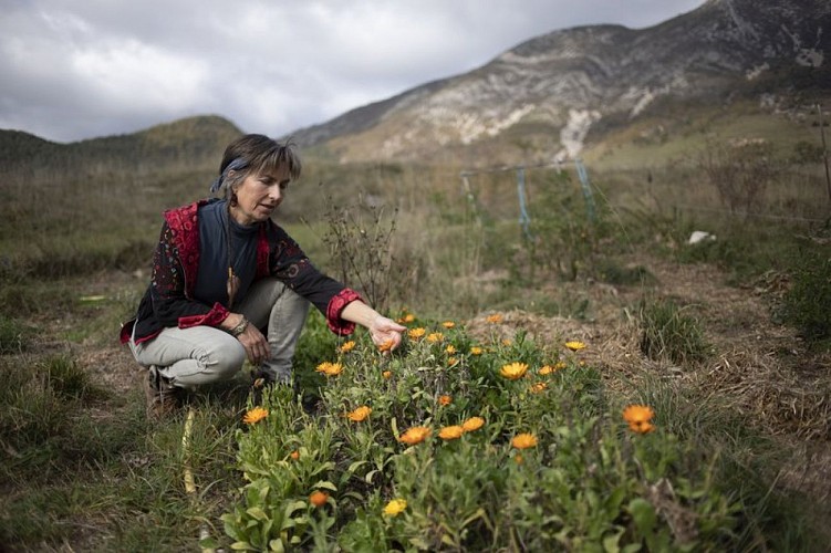 Cueillette avec Marielle