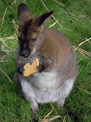 Restaurant le Régal