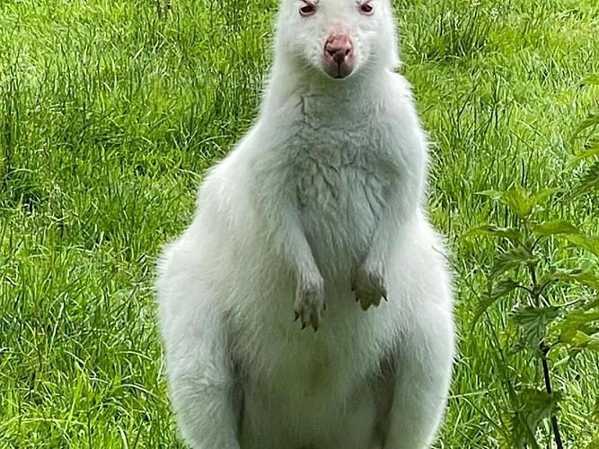 Restaurant le Régal