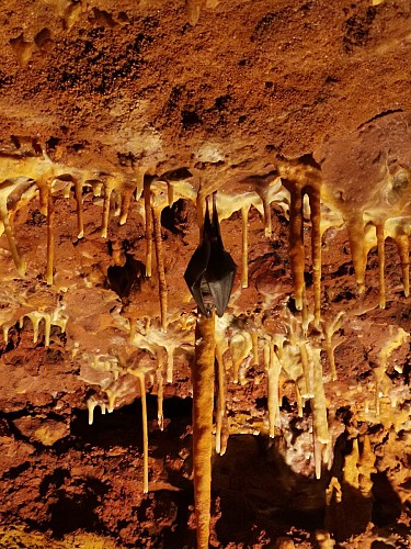 Grotte du Bosc