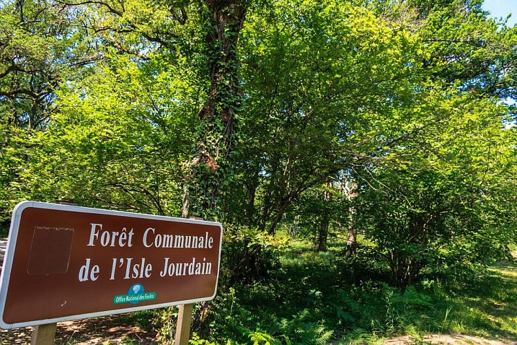 Forêt de Bouconne