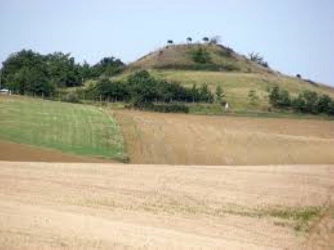 Motte féodale de Blanquefort