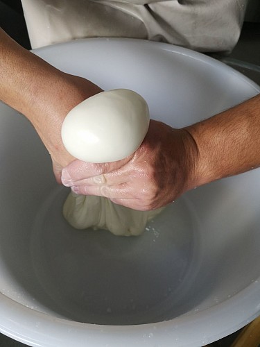 Les Délices de la Fleurette