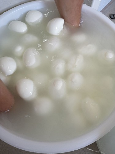 Les Délices de la Fleurette