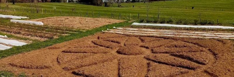 d6d0a0_d46d1d2f3724499ca4cbc205c287960a~mv2