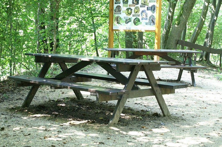 TDO_Coin pique-nique2 ©André Gillon