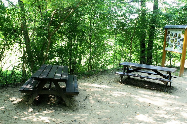 TDO_Coin pique-nique1 ©André Gillon