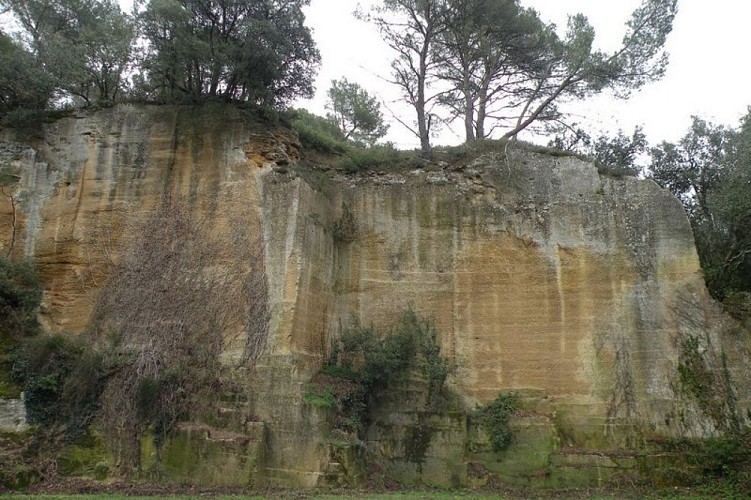 Ancienne carrière de pierre des Taillades