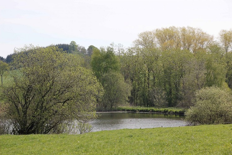 Les étangs de Weiler