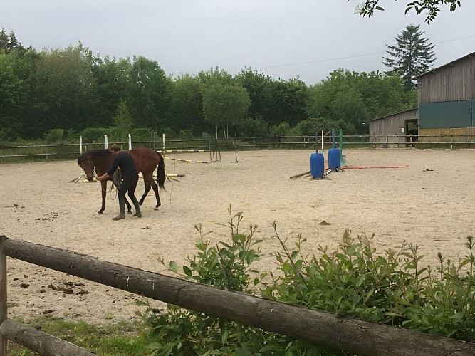 Centre Equestre Auquainville