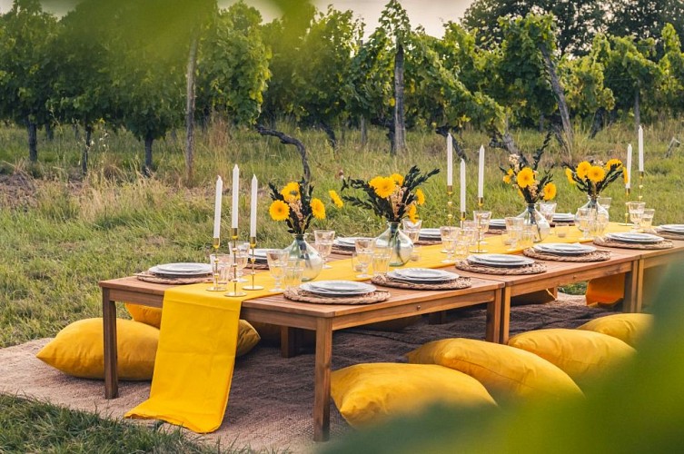 Le temps d'un pic nic 3