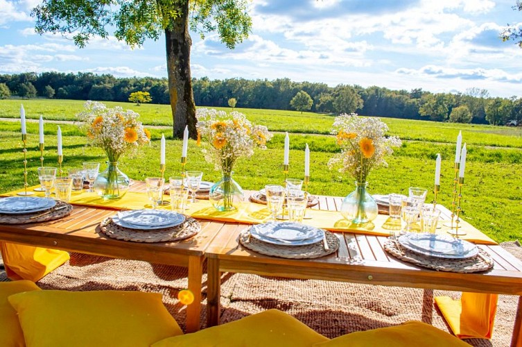 Le temps d'un pic nic gastronomie moment unique