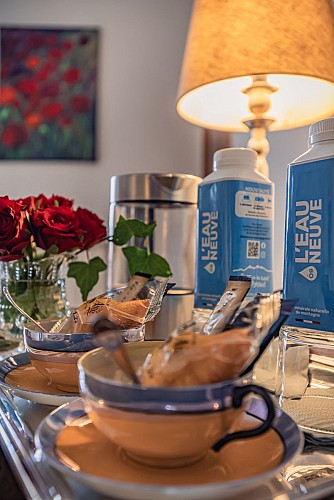 6. Plateau de courtoisie-Ostal Cassinia