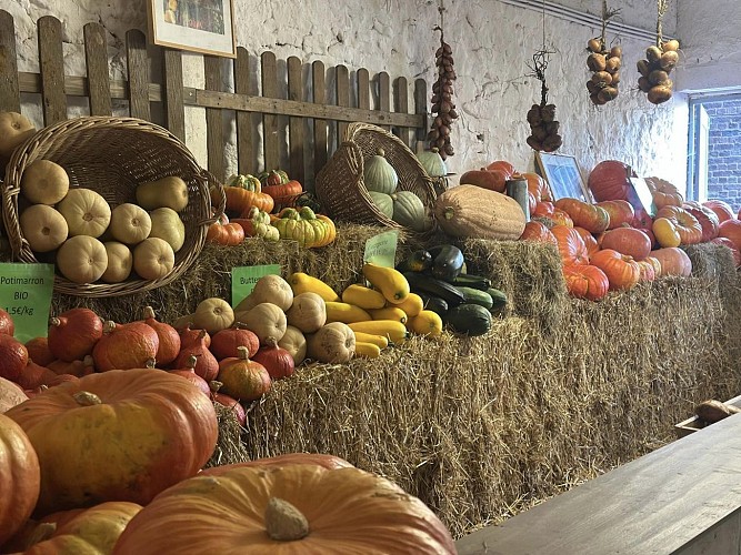 460214660_1047419640724842_7187470865962019386_n