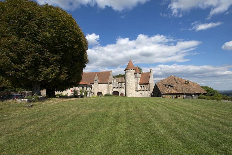 Château d'Hattonchâtel