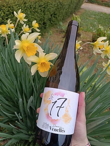 486267104_122135086694608033_9083738142681556908_n