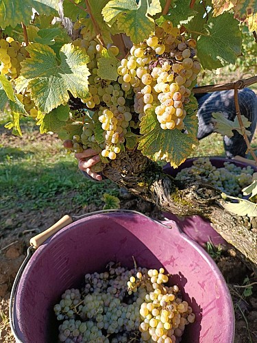 469206077_122112519080608033_7109289846621386864_n