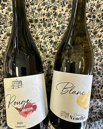 Domaine vennelles viticulteur vins degustation Oiron plaine vallees Thouarsais