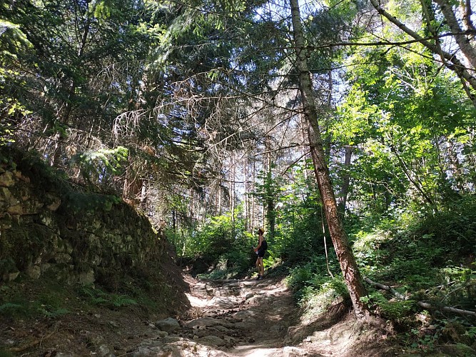 Sentier botanique - Vallée de la Pinsole