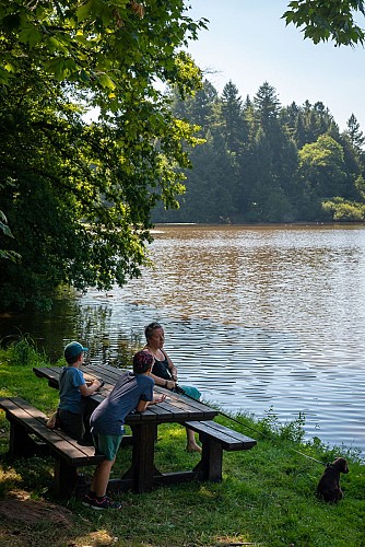 Table de pique-nique