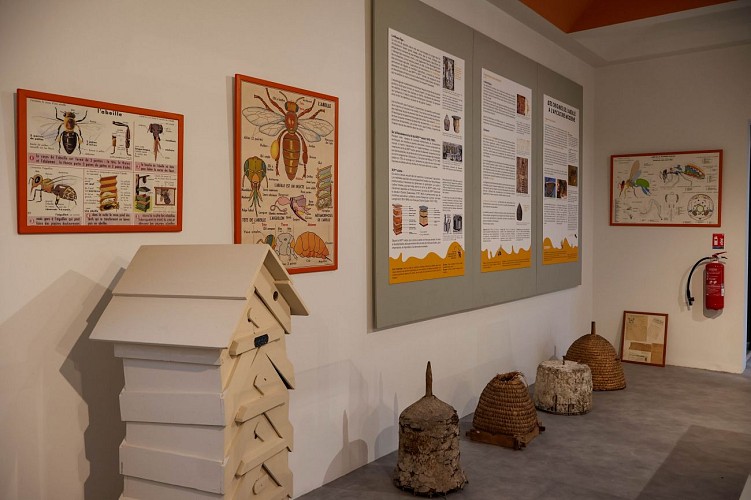 Maison de la ruche 2024 ©S. Bercier (3)