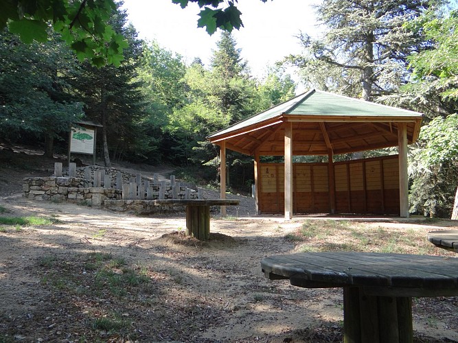 Roiffieux forest