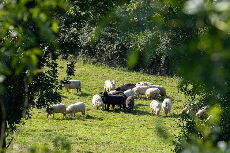 Ferme de la Coulée Verte