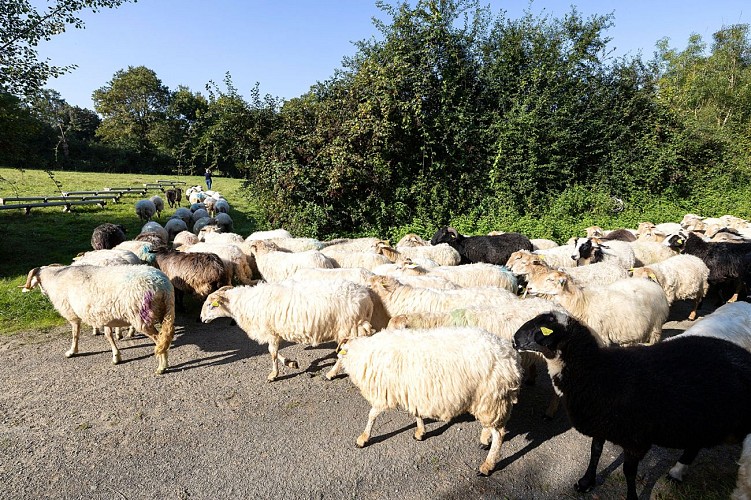 Ferme de la Coulée Verte