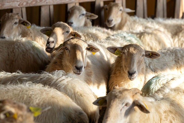 Ferme de la Coulée Verte