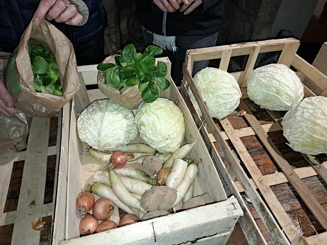 Amap'Place Dompierre sur Yon