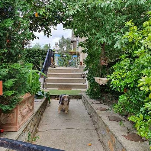 Chambres dhotes coutances domaine vaudon reuter kirsten (4)