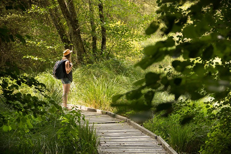 37080602233_92129fe1f0_k (1)