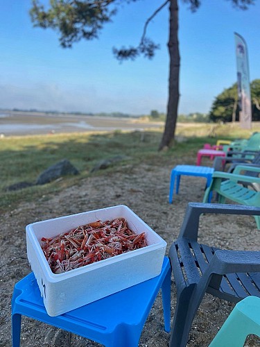 L'Amour à la Plage