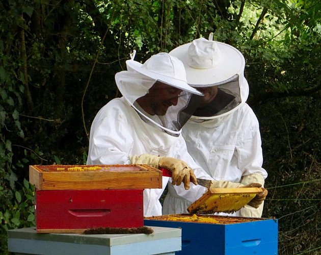 Gîtes de la Bigaudière - Gîte Terroir
