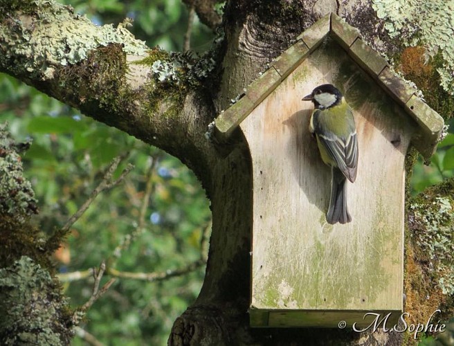Gîtes de la Bigaudière - Gîte Terroir