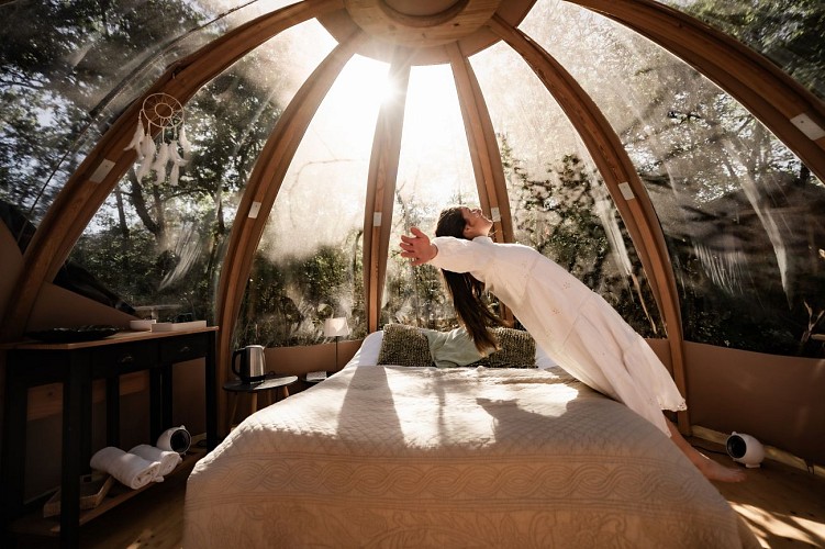 The wood-frame bubble