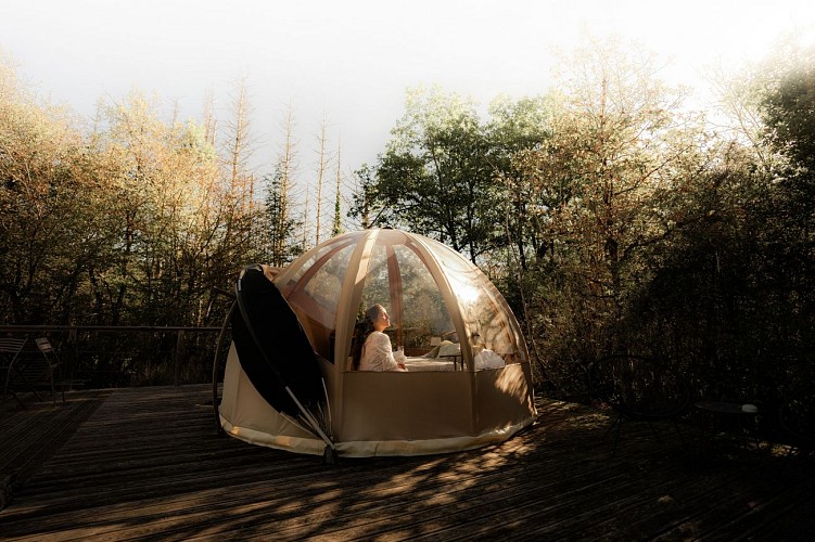 The wood-frame bubble