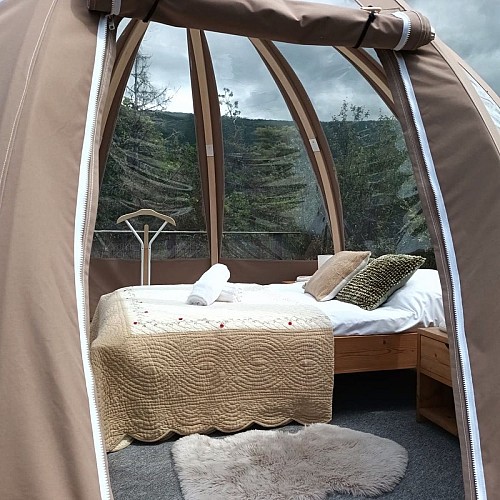 The wood-frame bubble