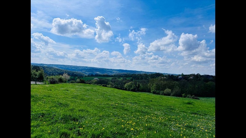 Panorama des chevaux ©Commune de Fléron