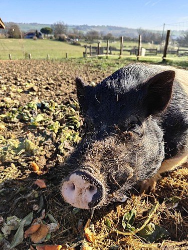 La Ferme des Utopies