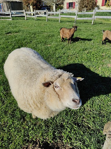 La Ferme des Utopies