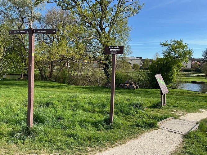 Parc de la Taffarette