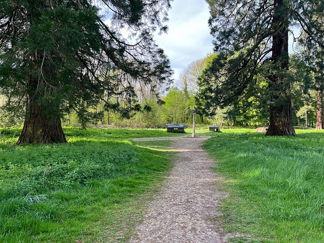 Allée des Lions - Forêt Régionale de Ferrières-en-Brie