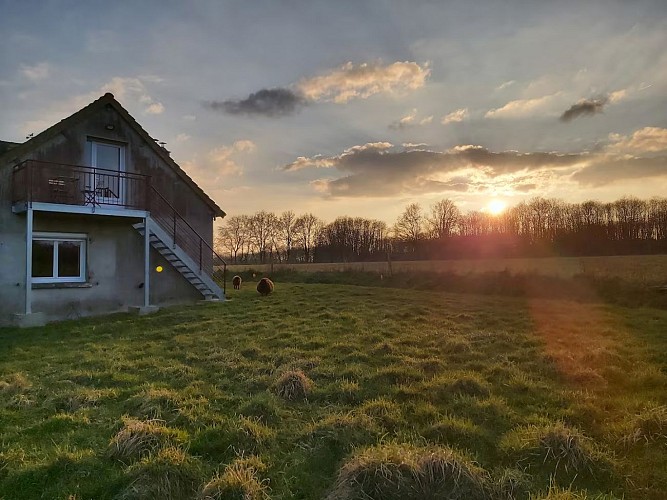 jardin-studio-chevreuils